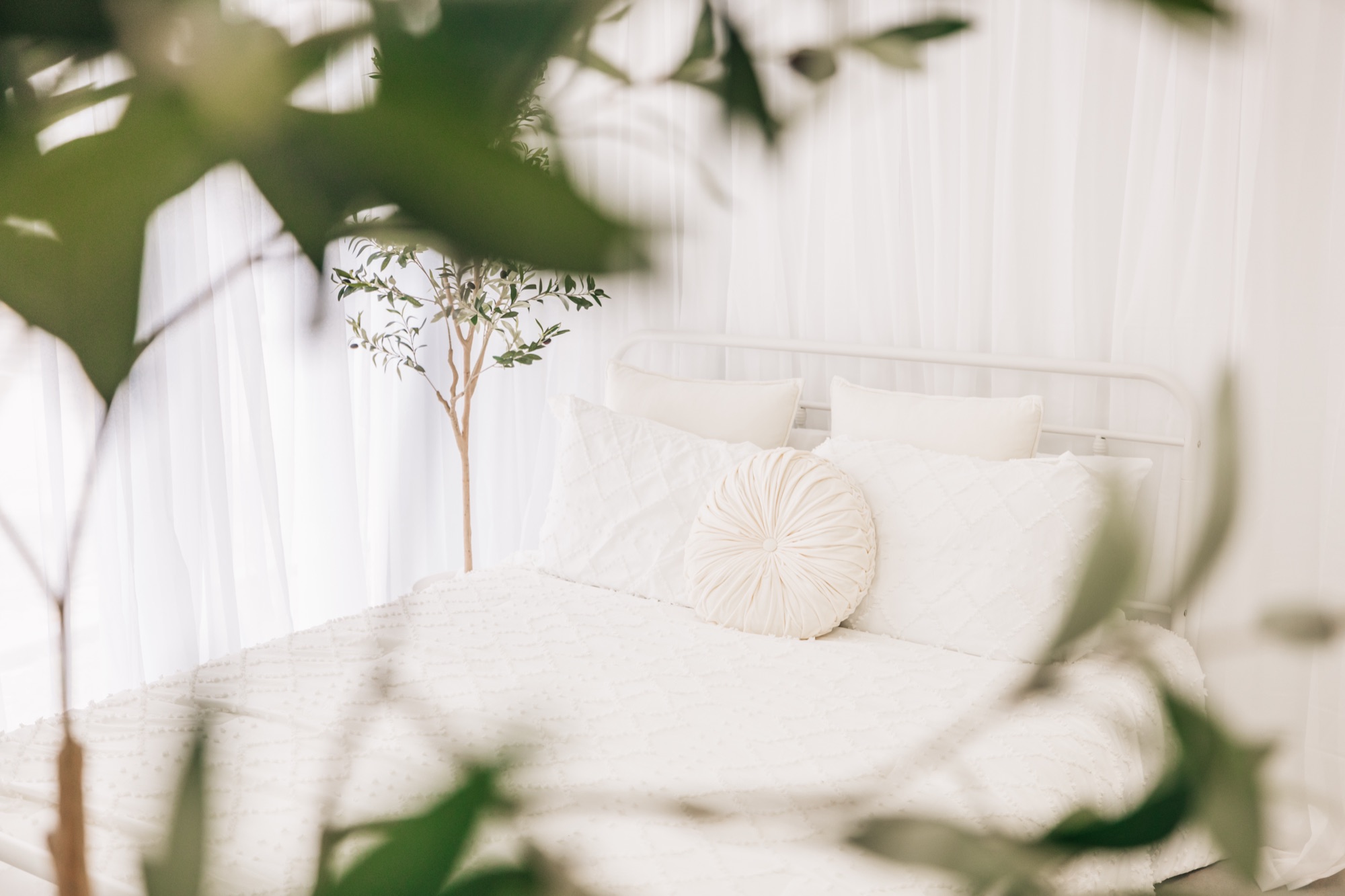 The white bed set framed by sheer curtains and an olive tree